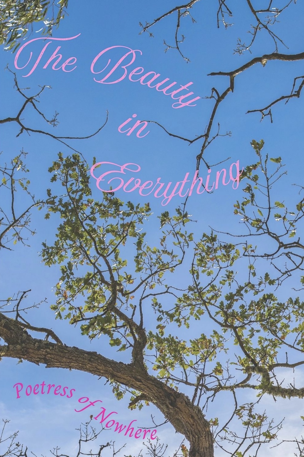 The Beauty in Everything — Book Cover